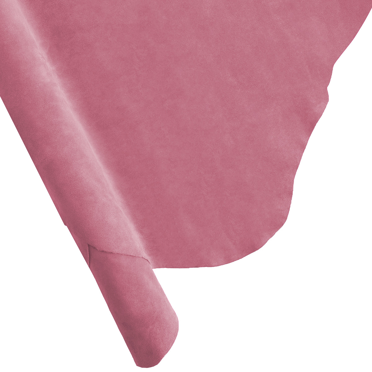Dusty Rose - 1