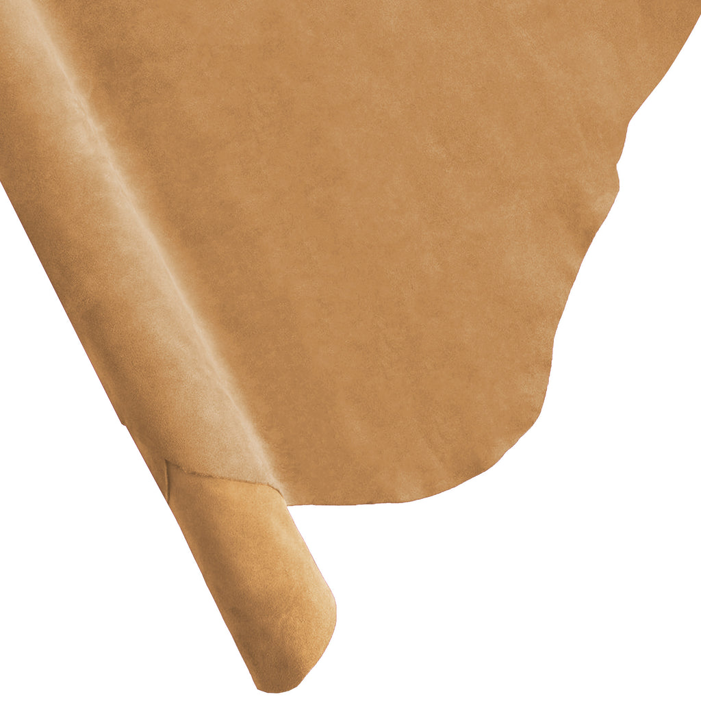 Taupe - 1