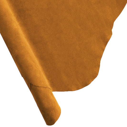 Toast - 1