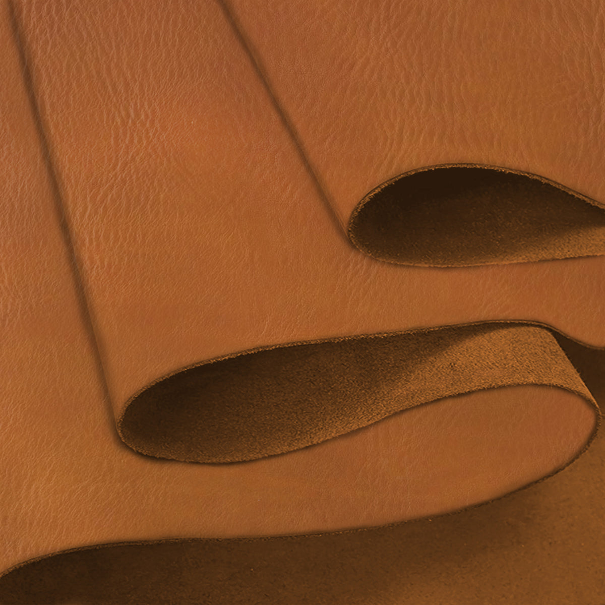 European Leather Work 5-6 oz. (2-2.4mm) Vegetable Tanned Leather Natural Shrunken Grain Cowhide Craftsmen Grade Quality for Tooling, Carving, Engraving, Molding Main image