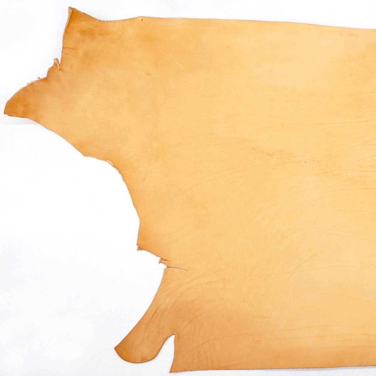 ELW 8-10 oz (3-4mm) Full Grain Veg Tan Double Shoulders (8-10ft, Craftsman Grade) Secondary image